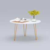 Anikaa Living Room Lounge Coffee Center Hairpin Legs Table