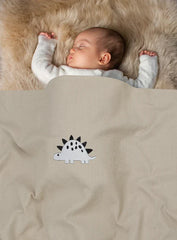 Snuggle Dino Baby Blanket