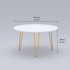 Anikaa Living Room Lounge Coffee Center Hairpin Legs Table