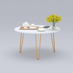 Anikaa Living Room Lounge Coffee Center Hairpin Legs Table