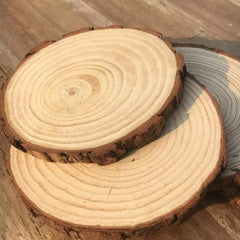 Natural Wooden Sliced Log - waseeh.com