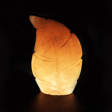 Curved Fern - Table Lamp - waseeh.com